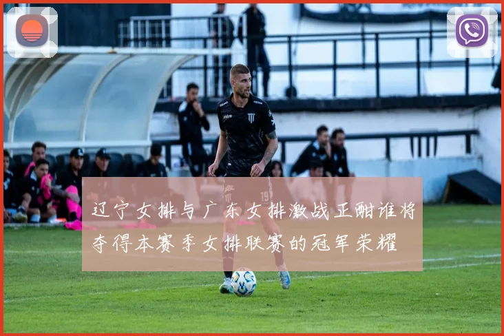 辽宁女排与广东女排激战正酣谁将夺得本赛季女排联赛的冠军荣耀