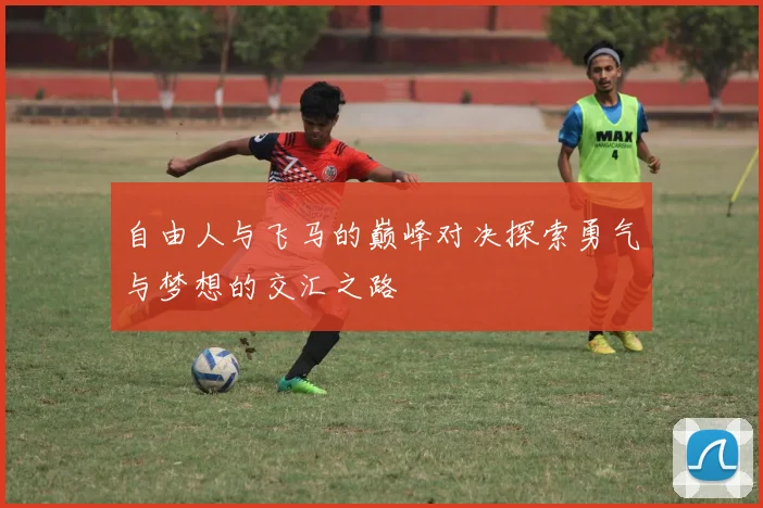 自由人与飞马的巅峰对决探索勇气与梦想的交汇之路