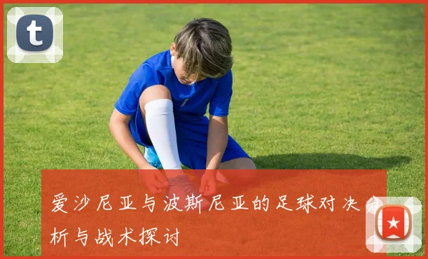 爱沙尼亚与波斯尼亚的足球对决分析与战术探讨