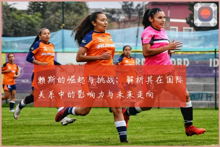 赖斯的崛起与挑战：解析其在国际关系中的影响力与未来走向