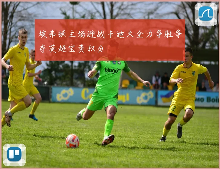 埃弗顿主场迎战卡迪夫全力争胜争夺英超宝贵积分