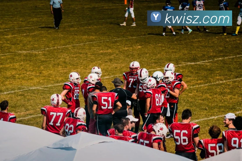 App Interface Preview